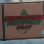 virginia madsen in operation christmas drop